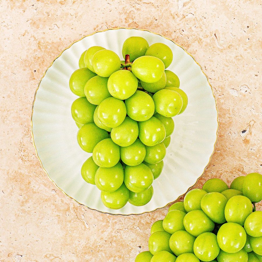샤인머스켓 특품 1.4kg 2수 18브릭스 (14,570원) (무료)